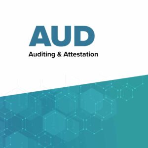 Auditing and Attestation (AUD)
